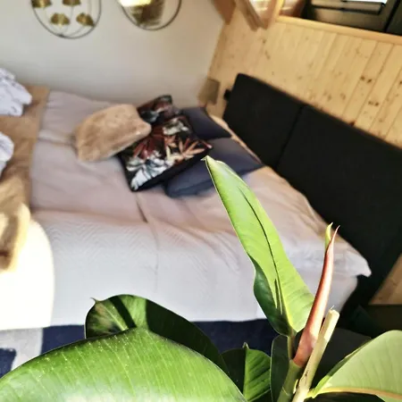 Czorny Dab - Na Kaszubach, Bilard, Jacuzzi, Sauna Garcz