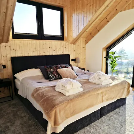 Villa Czorny Dab - Na Kaszubach, Bilard, Jacuzzi, Sauna