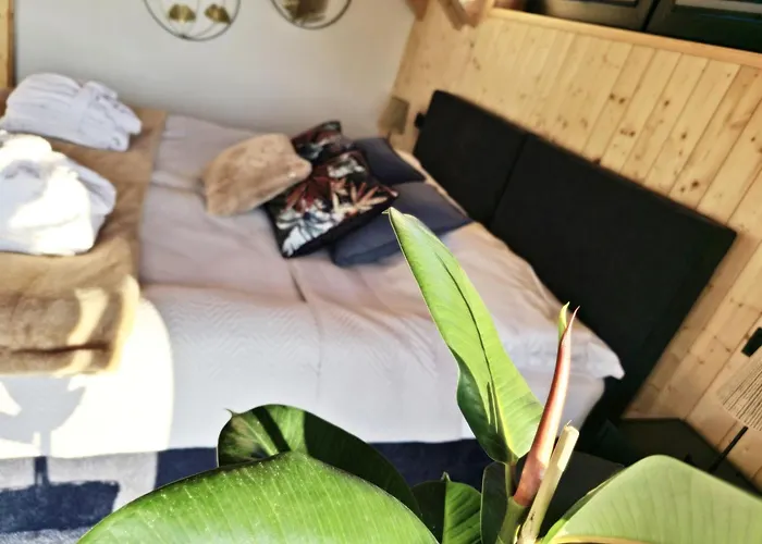 Czorny Dab - Na Kaszubach, Bilard, Jacuzzi, Sauna Garcz